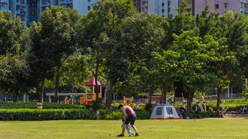 Walking on grass has a cushion effect that absorbs pressure and mitigates the impact on knees or joints, also minimises injury from falling, ideal for young children to be free and run around.